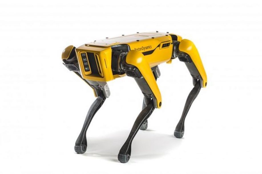 Dit is de duurste robothond ter wereld (66.000 euro!)