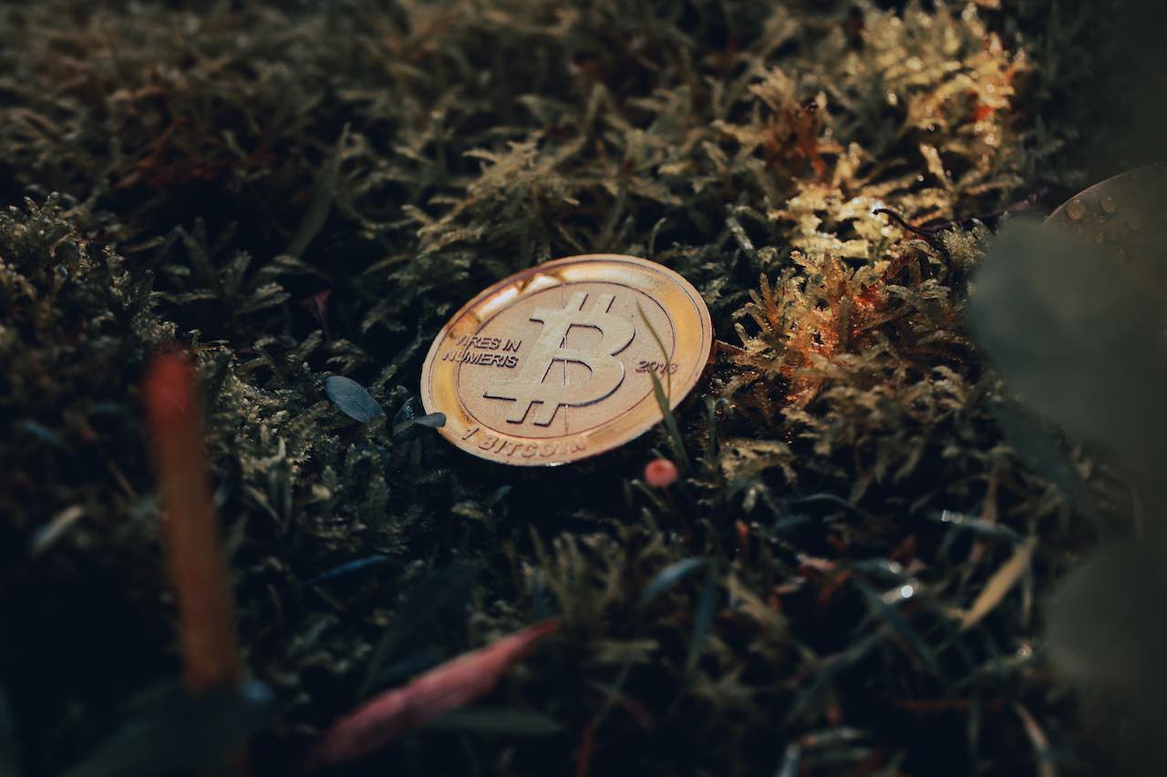 Bitcoin kenner: deze crypto winter niet zo streng